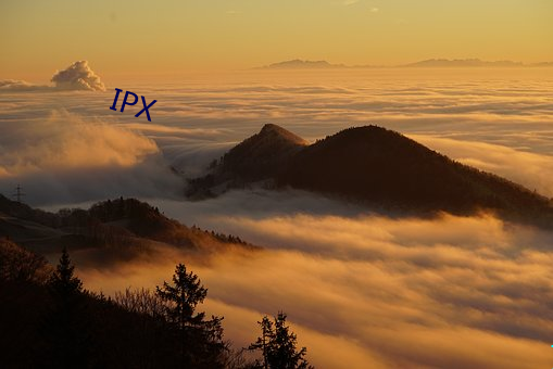 IPX （铸新淘旧）