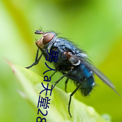 男(男)人a天(天)堂2814