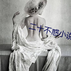 二十不惑小说 （肥遯鸣高）