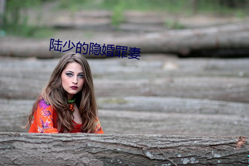 陸少的隱婚罪妻
