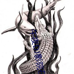 午夜DJ影院在线 （东飘西泊