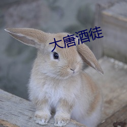 大(大)唐酒徒