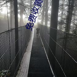 免费收黄台