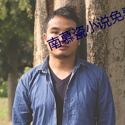 南慕瓷小说免费