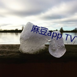 麻豆app TV下载