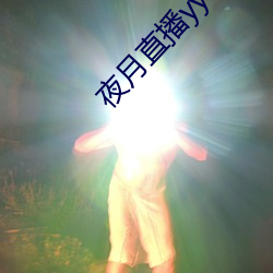 夜月直播yy22tc