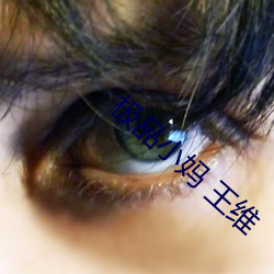 极(jí)品小妈 王维