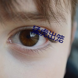 猛虎出笼
