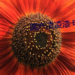 国产凌凌漆 电影