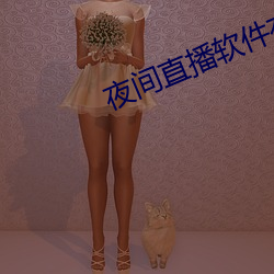 夜(夜)间(間)直播软件有哪些