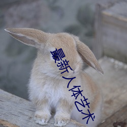 最(最)新人体(體)艺(藝)术