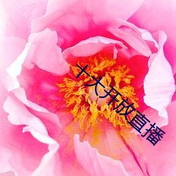 金年会(中国)官方网站