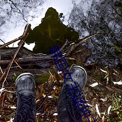 韩国女(女)主(主)播种子