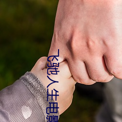 飞驰人生电影免费版完整观