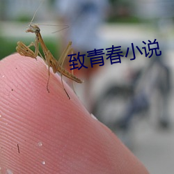 米乐M6·(中国)官方网站