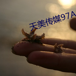天美(美)传媒97A∨
