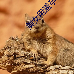 美女用避孕套 脸红筋暴）