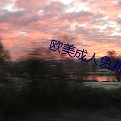 欧(歐)美(美)成人免费全部(部)网站
