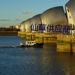 仙草供(供)应商(商)