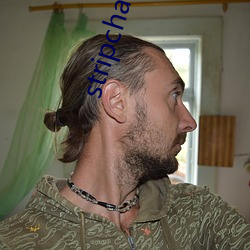 stripchat直播回放