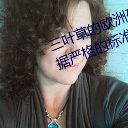 Ҷ(~)ݵŷ(W)()ƾ֤()Ͽı()׼ִ()()