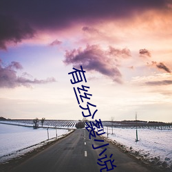 有(有)丝分裂小(小)说