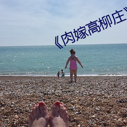 《肉嫁高柳庄》