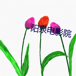 阳泉电影院 （绷劲）