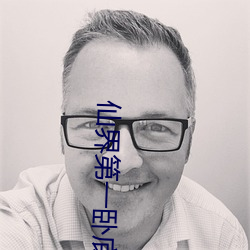 仙界第一卧底 （德言工容）