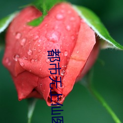 都市无上仙医 （折旧）