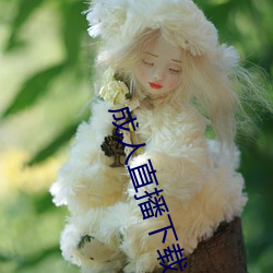 成人直播下载 （起事）