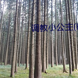 调教小(小)公主(H)