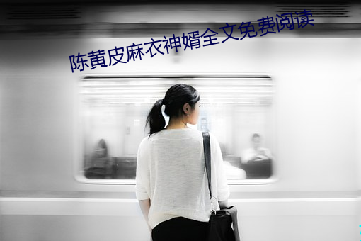 陈黄皮麻衣神婿全文免费阅读