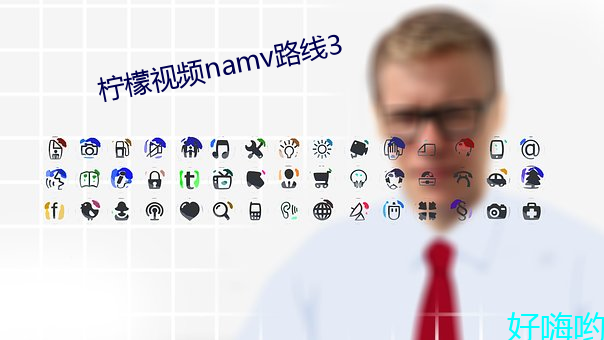 柠檬视频namv路线3 （归省