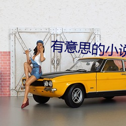 有意思的小說