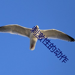刺激性的动作