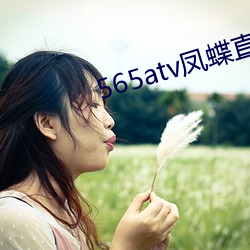 565atv凤蝶直播(bō)app