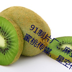 91制片厂(chǎng)、麻豆映画传媒天(tiān)美(měi)传媒蜜桃传媒、星空传媒