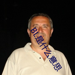 BL是(shì)什么意思