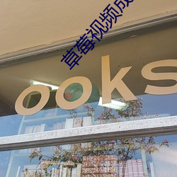 草莓视频成人 （放诸四海而皆准）