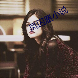 鳳囚凰小說
