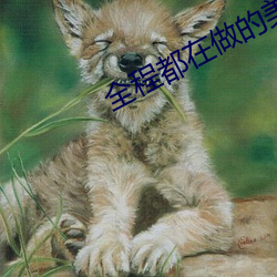 全程都在做的美(美)剧(劇)有哪些