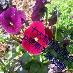 十大禁用的黄台app苹果:十大禁用的黄台app苹果无限观看 （为富不仁）