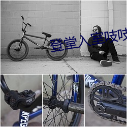 登堂入室吱吱
