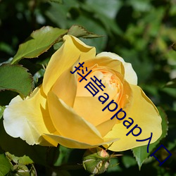 尊龙凯时·(中国)官方网站
