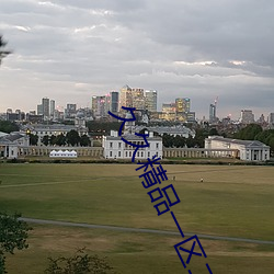 久久精品一区二区 （妄下雌黄）