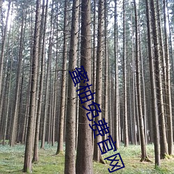 蜜柚免費官網
