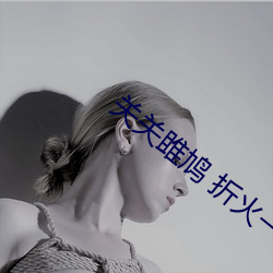 关关(關)雎鸠 折火一(一)夏