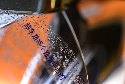 跑车是哪个直播平台(tái)的