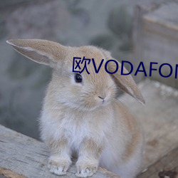 欧VODAFONEWIFI69